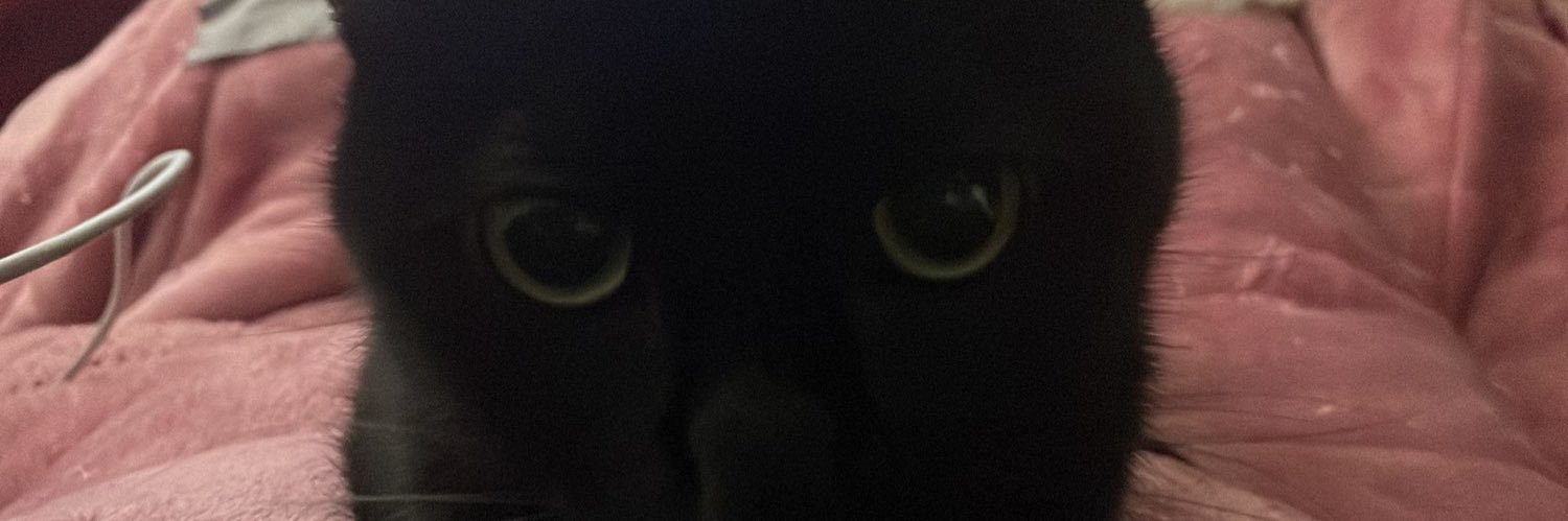 CesarSpirakes's profile banner image