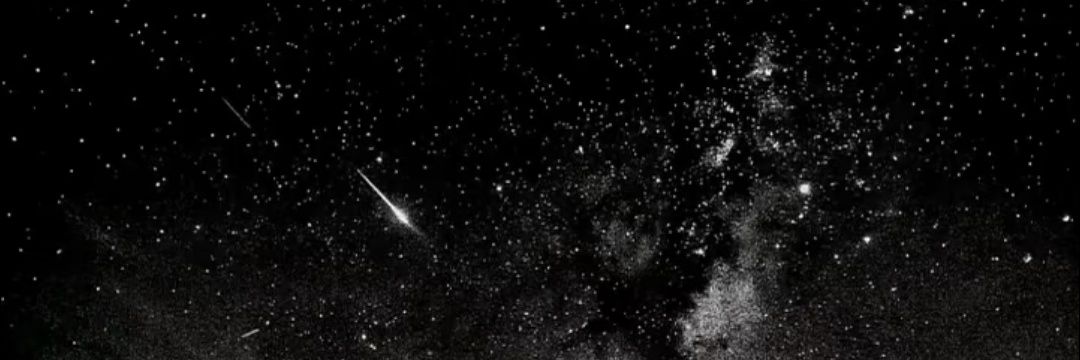 泠泠 banner