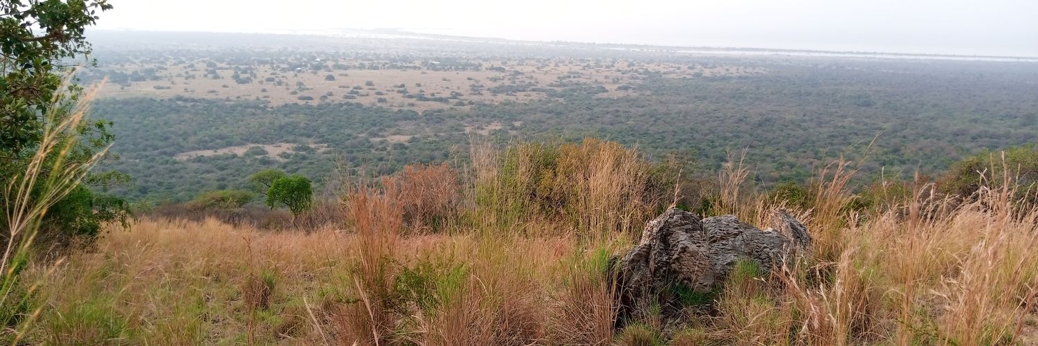 BashirFendu's profile banner image