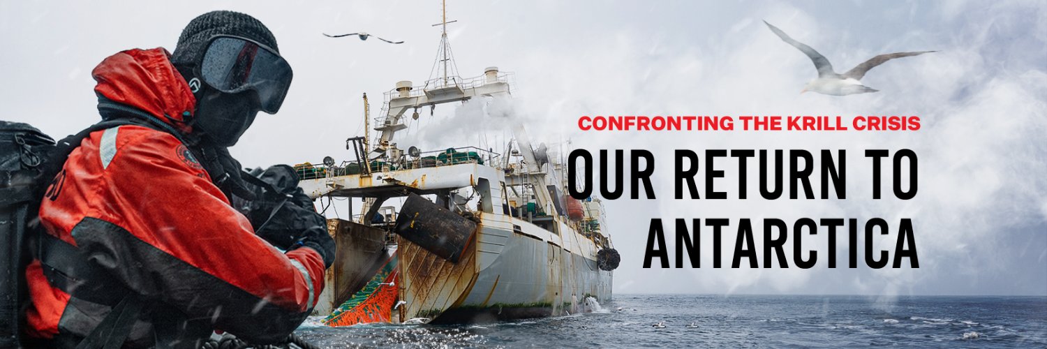 Sea Shepherd Profile Banner