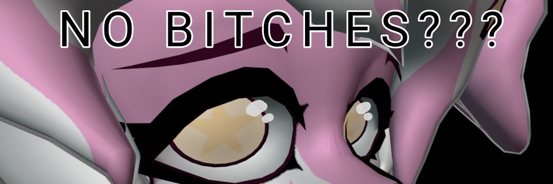 StarLight The Fuzz banner