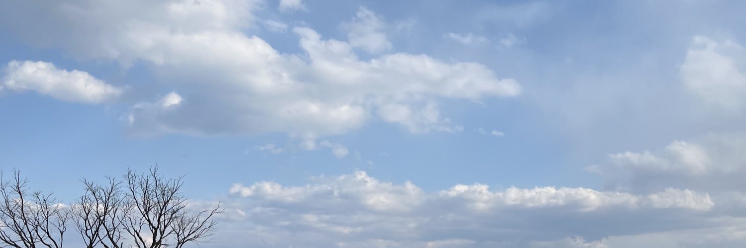 ttankonpyon's profile banner image