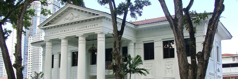 InstitutoGorgas's profile banner image