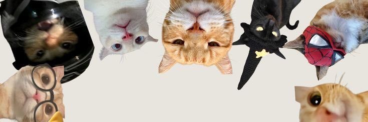 لات فیلسوف🎀 banner