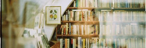 bee_bebetter Profile Banner