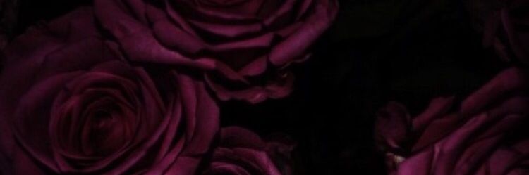 Gabby Rose banner