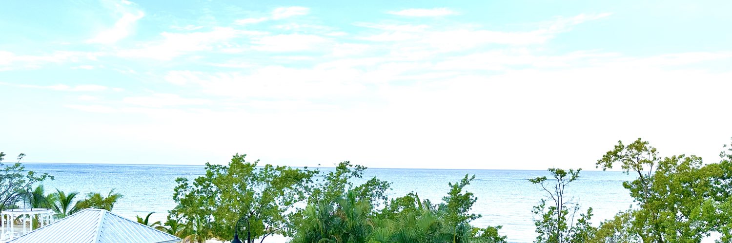 shownuptoit's profile banner image