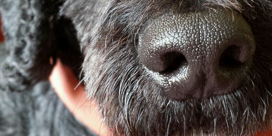 GreyMistress's profile banner image