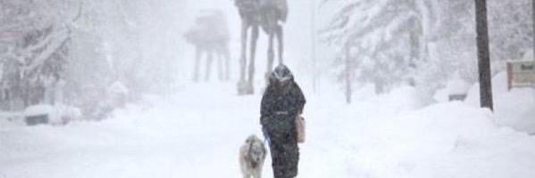 fakebrenthill's profile banner image