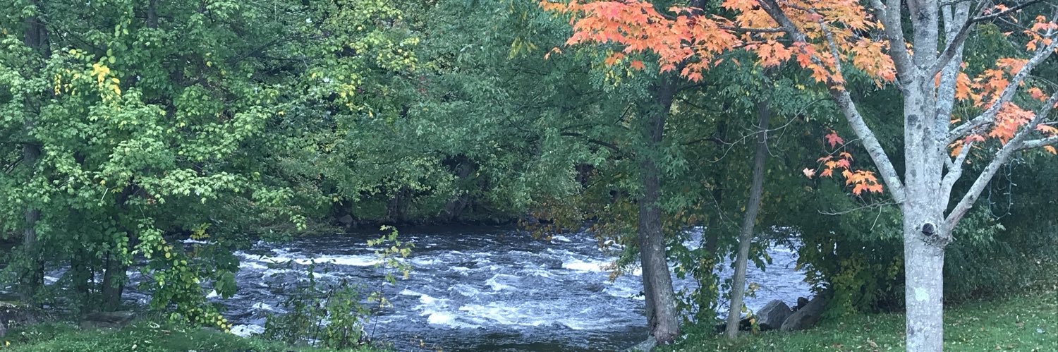 Michelle 🌻 banner