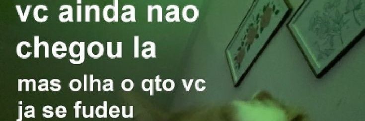 gustavo icaro banner