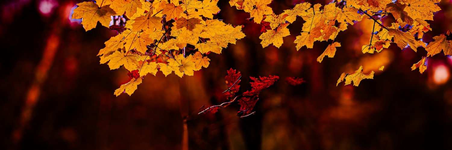 Djdaerialplus's profile banner image
