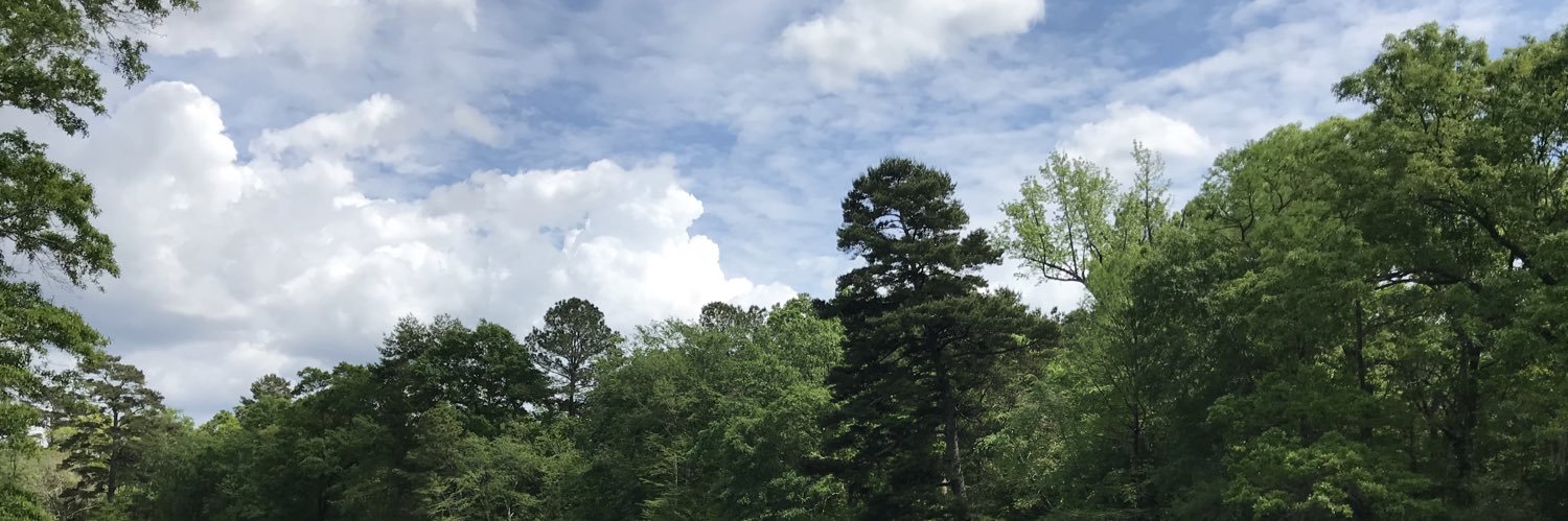 c29cooper's profile banner image