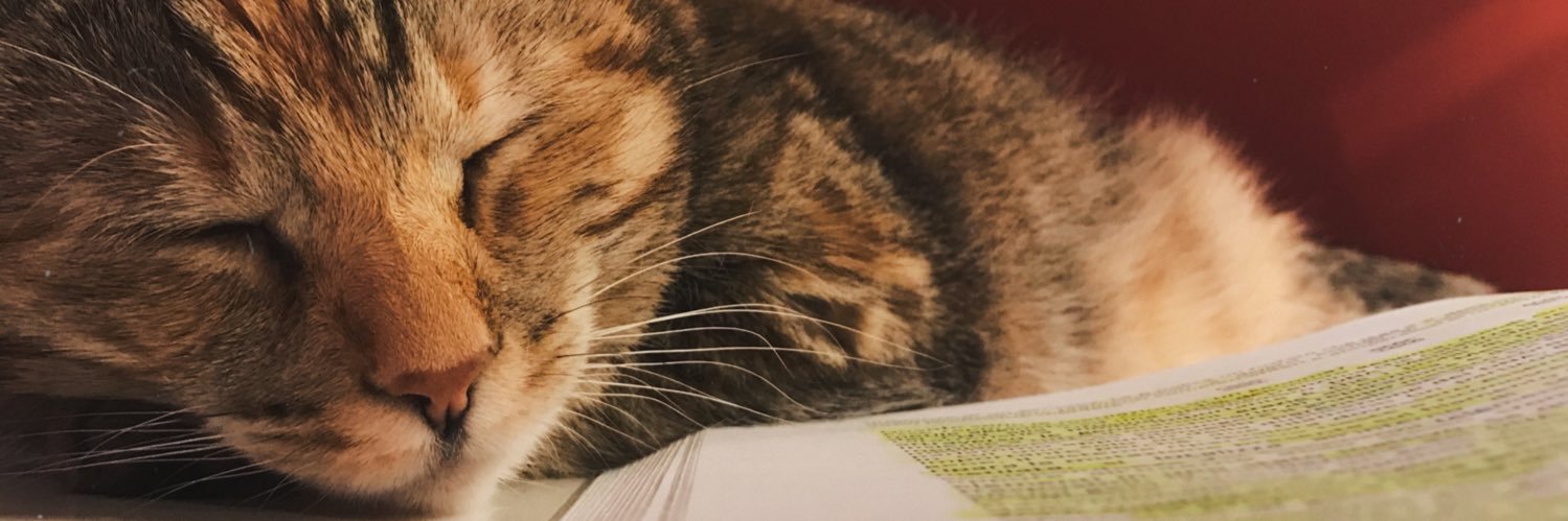 mrsltz_'s profile banner image