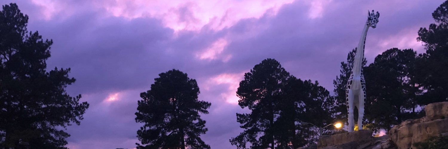 mcnairavery's profile banner image