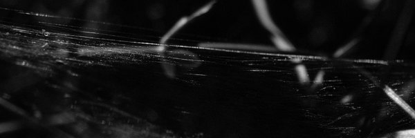 framinitie Profile Banner