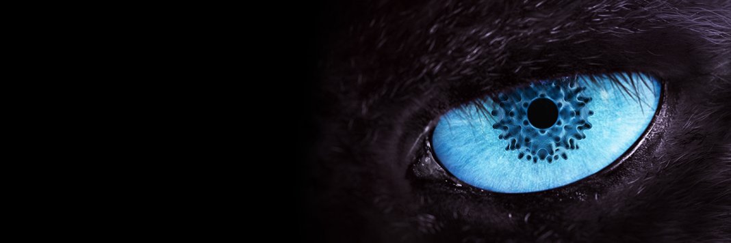 Mathijs banner