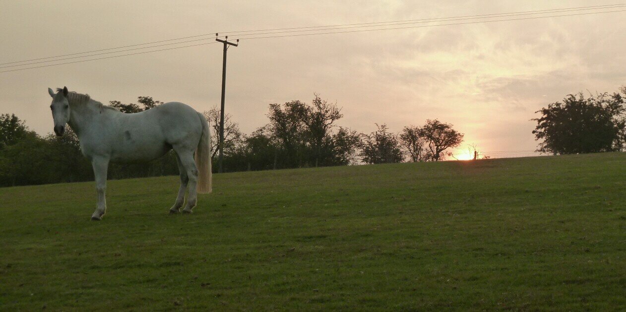 mohan46's profile banner image