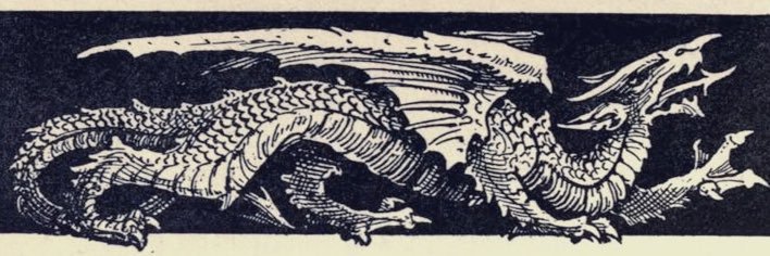 ⋆°.☾⋆Finn.ೃ࿔*:⋆ banner