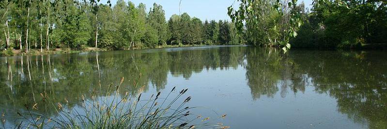 Genets Carp Lake banner