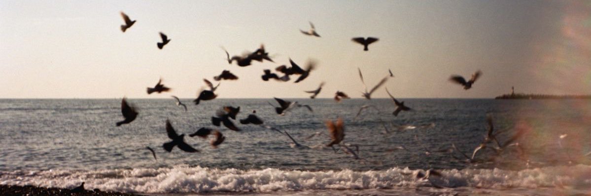 Just don’t care banner