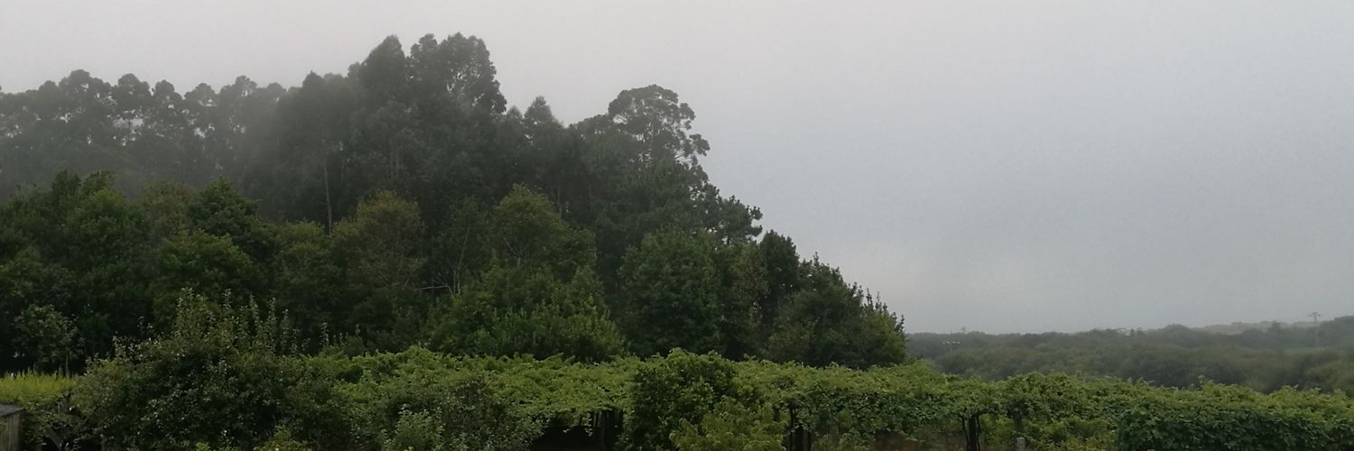 Miguelillus7's profile banner image