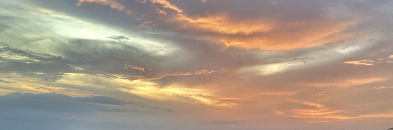 Daniela Bernal Gómez banner