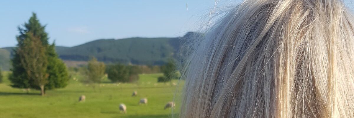 kaffs1208's profile banner image