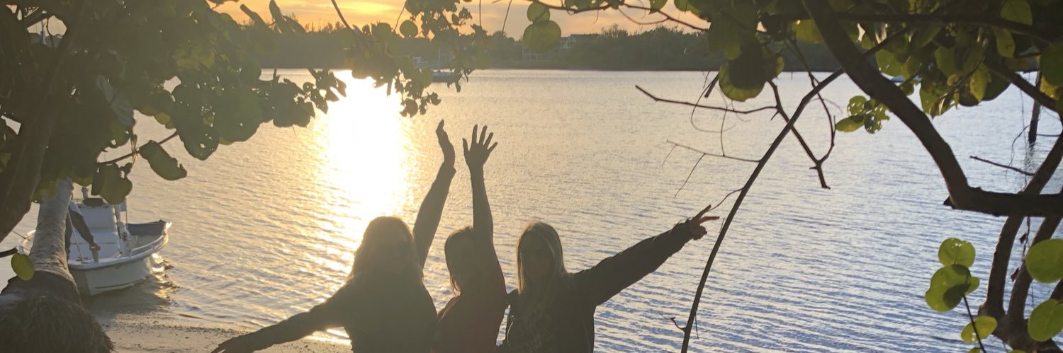 Dlstamm's profile banner image