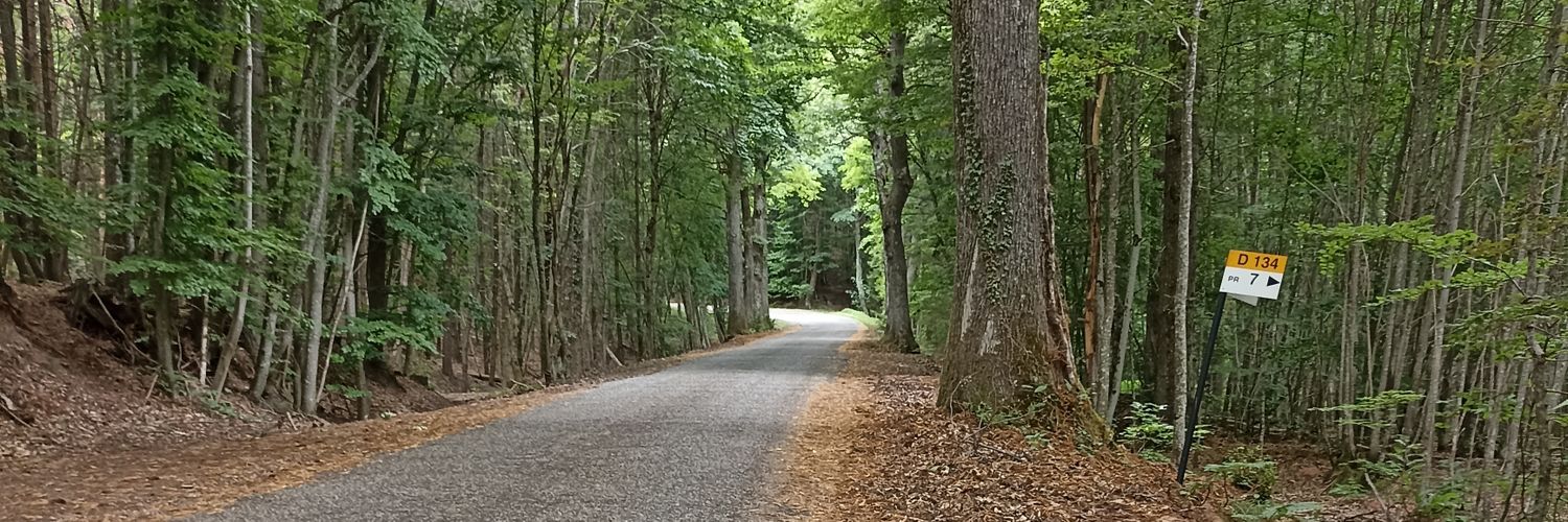 Callahaine's profile banner image