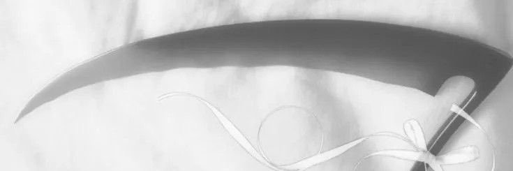 Vixie ⚔️ 𝔣𝔦𝔫𝔡𝔬𝔪 banner