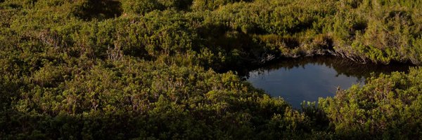 PEAT_project Profile Banner