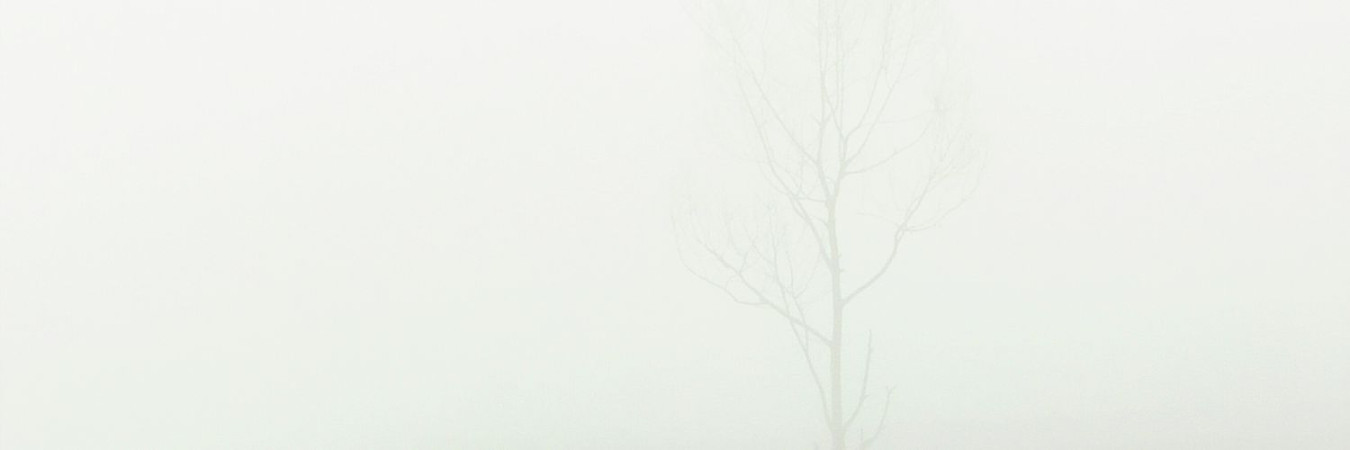 arofimuiz's profile banner image