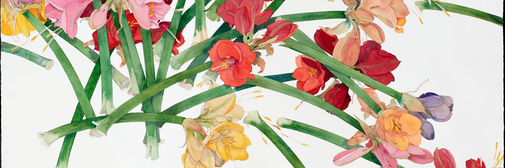 chicniche's profile banner image