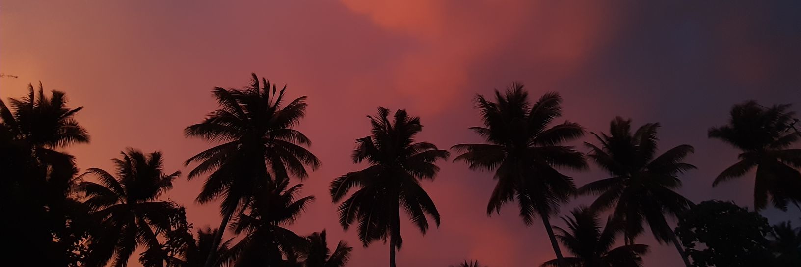 pamilustre's profile banner image