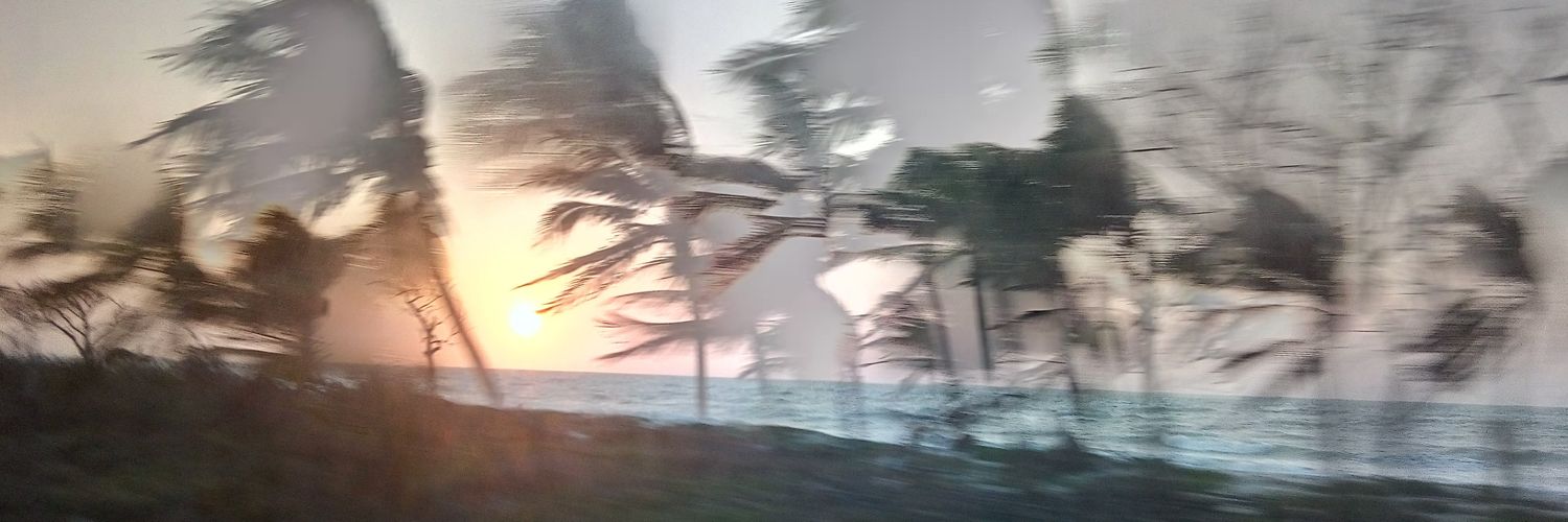 _JanLv's profile banner image