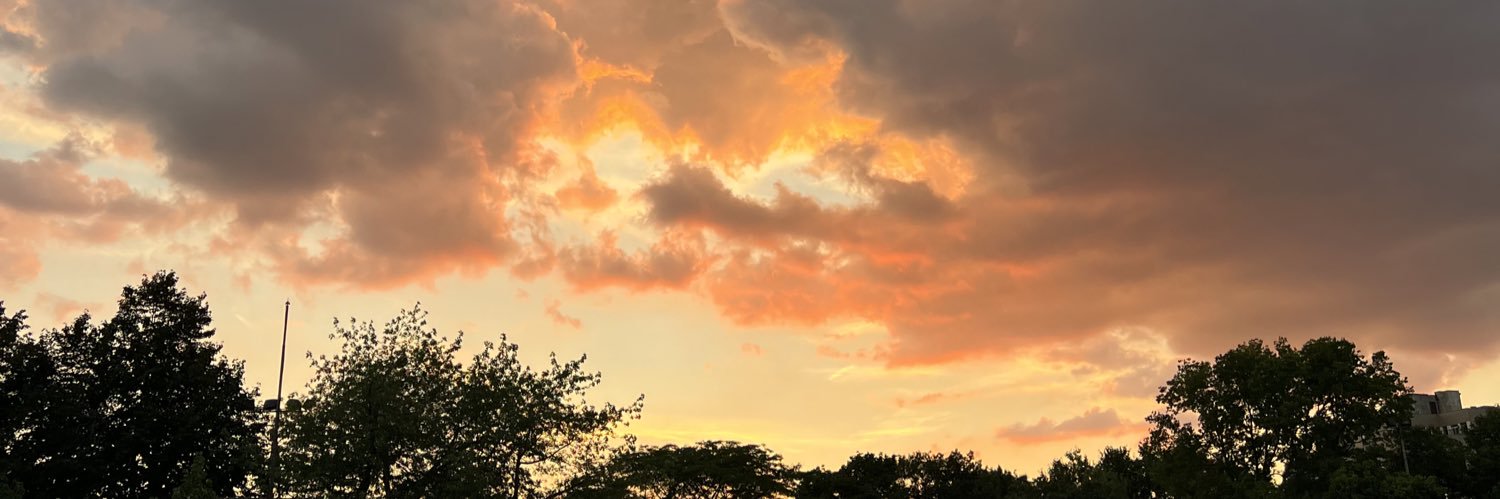 bibiopez's profile banner image