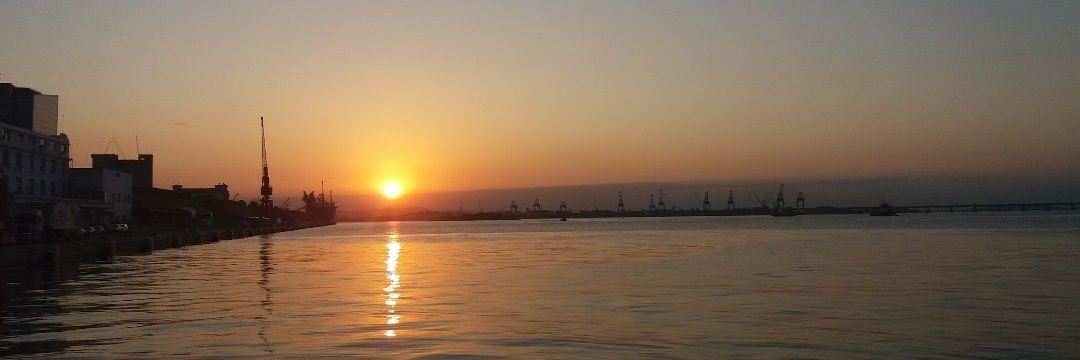 Ricardo Alves banner