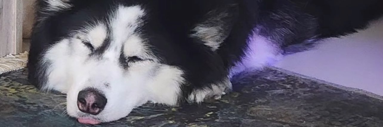 Sixtrou's profile banner image