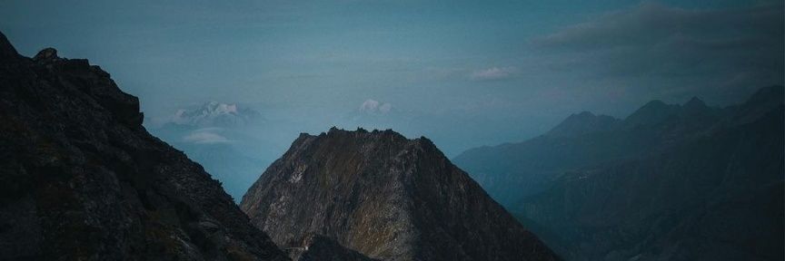 lifeinthewild_'s profile banner image