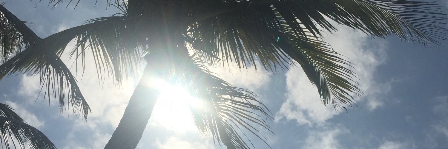 missgrez's profile banner image
