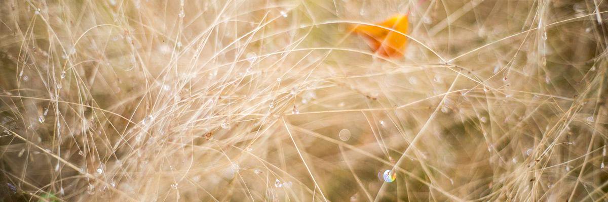 ayeshasahmad's profile banner image