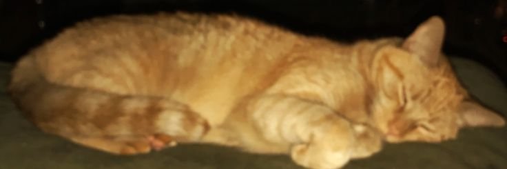 moved to @stacaggressor banner