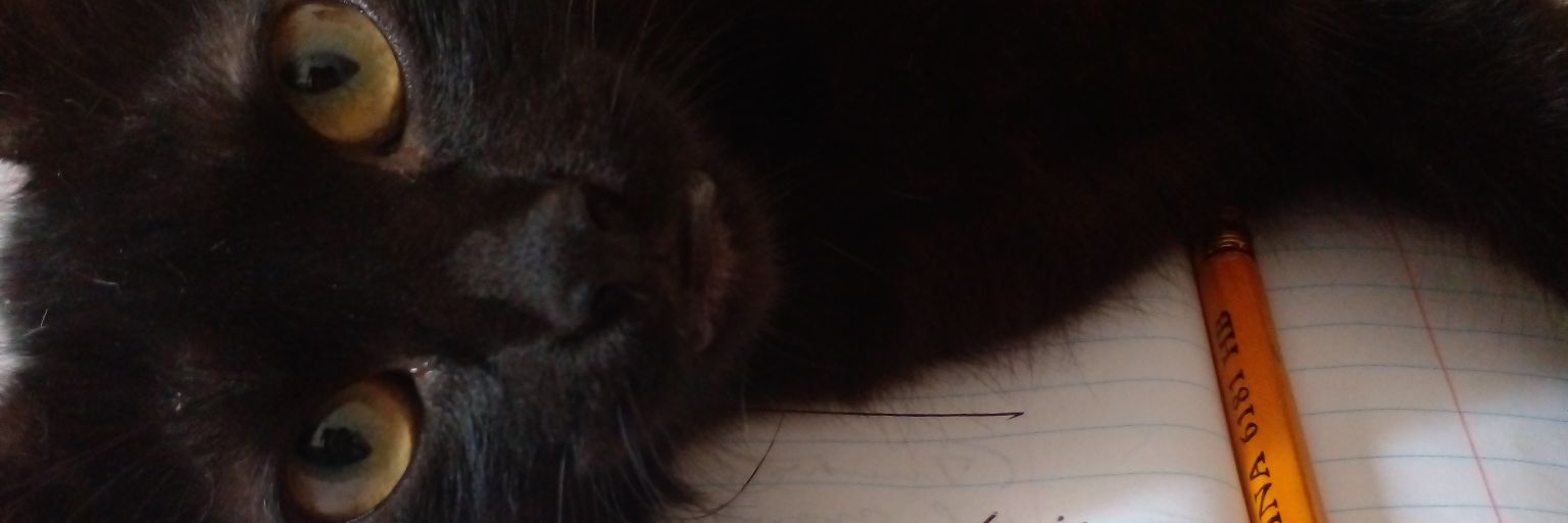 zumicar's profile banner image