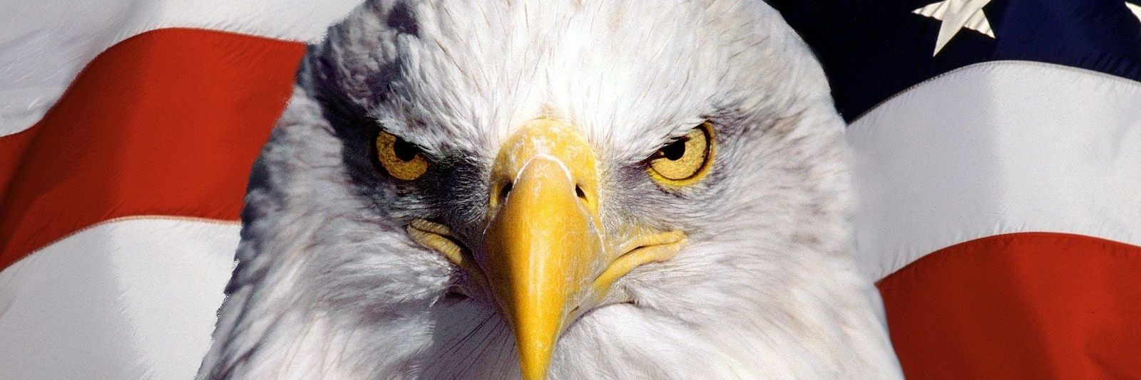 2ND_ADMENDMENT's profile banner image
