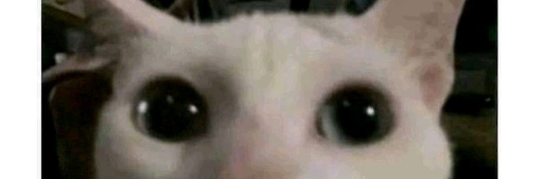 sida/sorry to say, you've grown a bit predictable banner