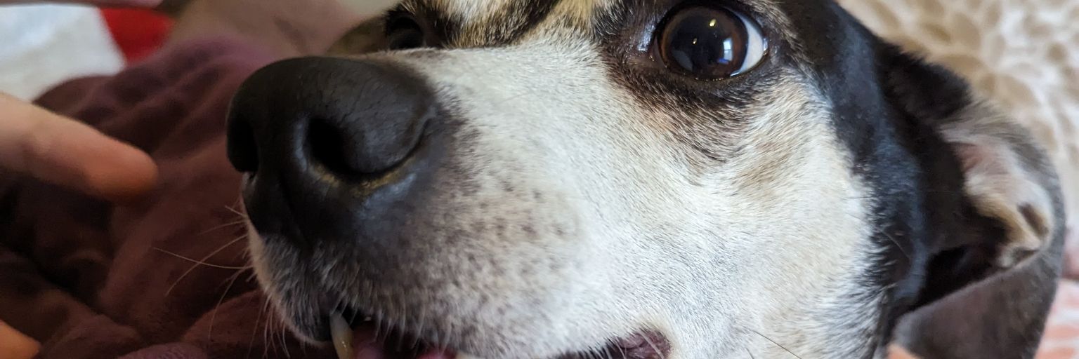 quillionaire's profile banner image