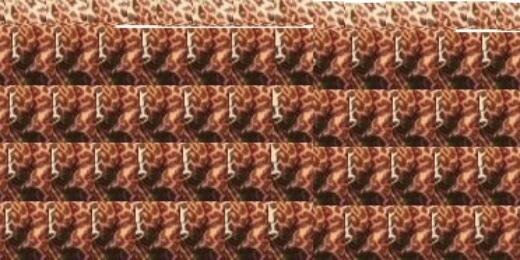 Scopamicaxxgdr_'s profile banner image
