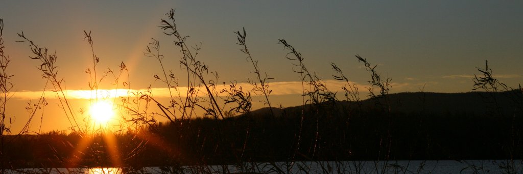 humenperso's profile banner image