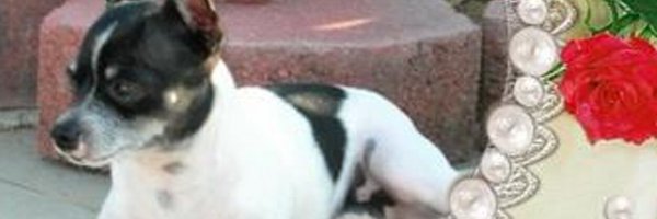 RELadySoCal Profile Banner